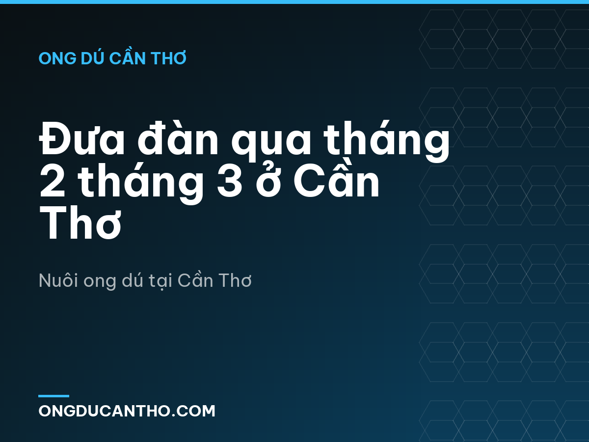 Đưa đàn qua tháng 2 tháng 3 ở Cần Thơ