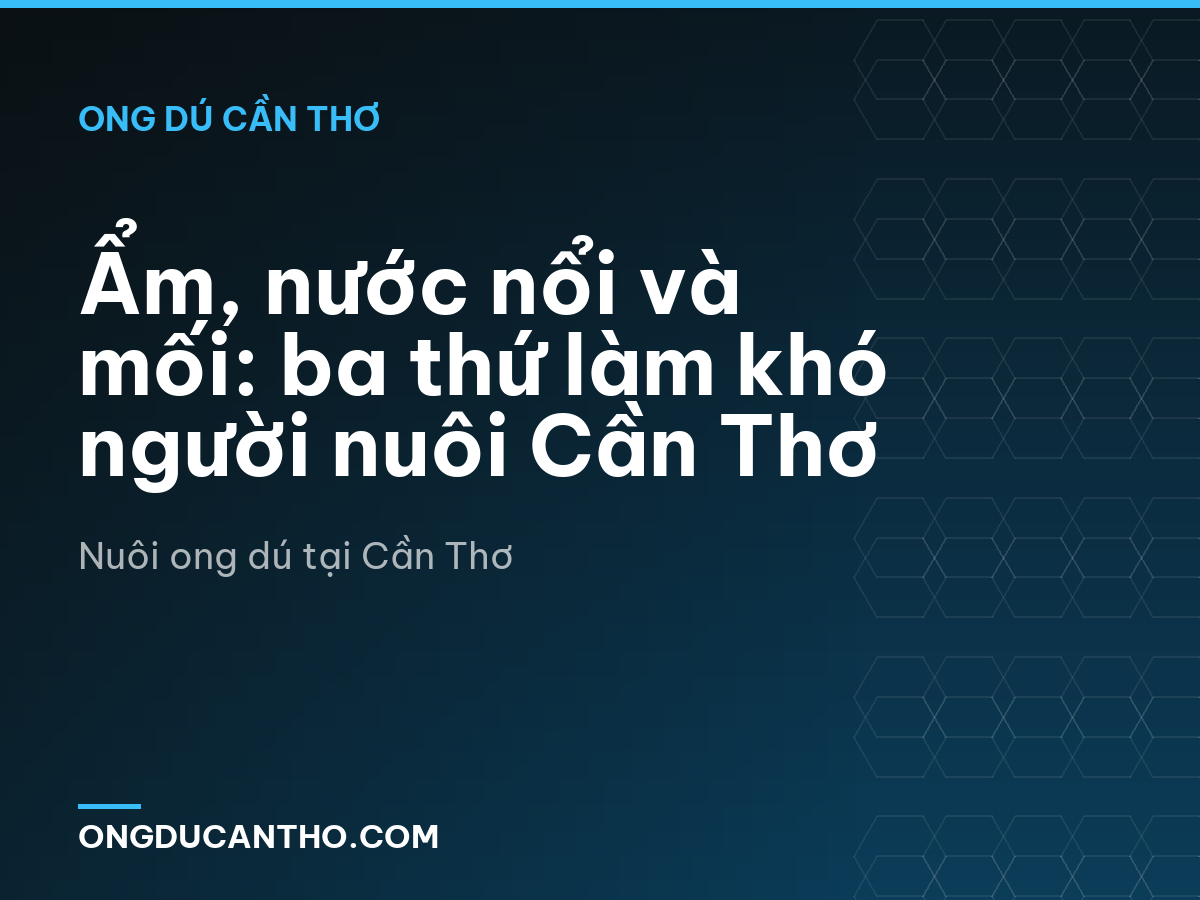 Ẩm, nước nổi và mối: ba thứ làm khó người nuôi Cần Thơ