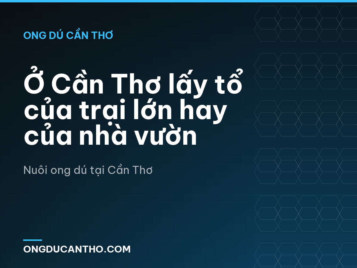Ở Cần Thơ lấy tổ của trại lớn hay của nhà vườn