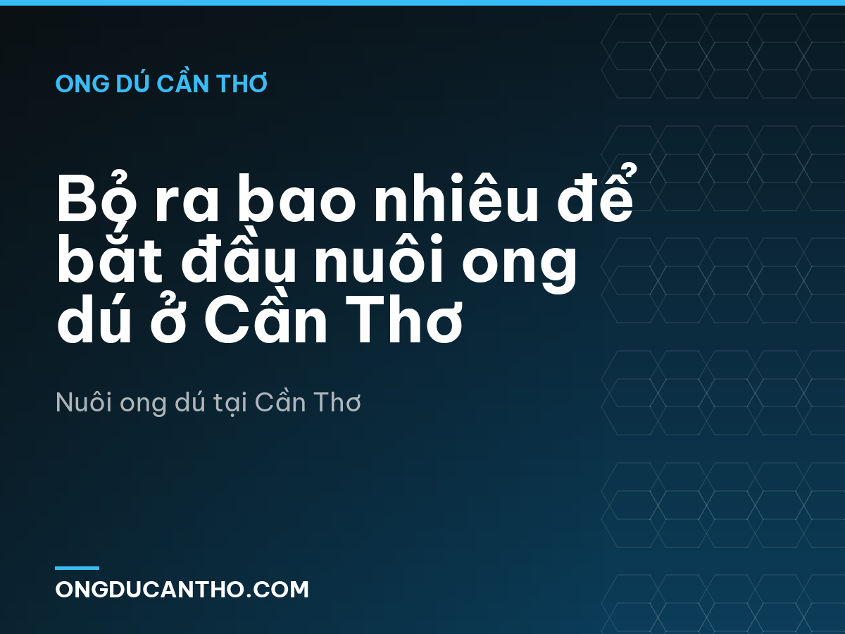Bỏ ra bao nhiêu để bắt đầu nuôi ong dú ở Cần Thơ