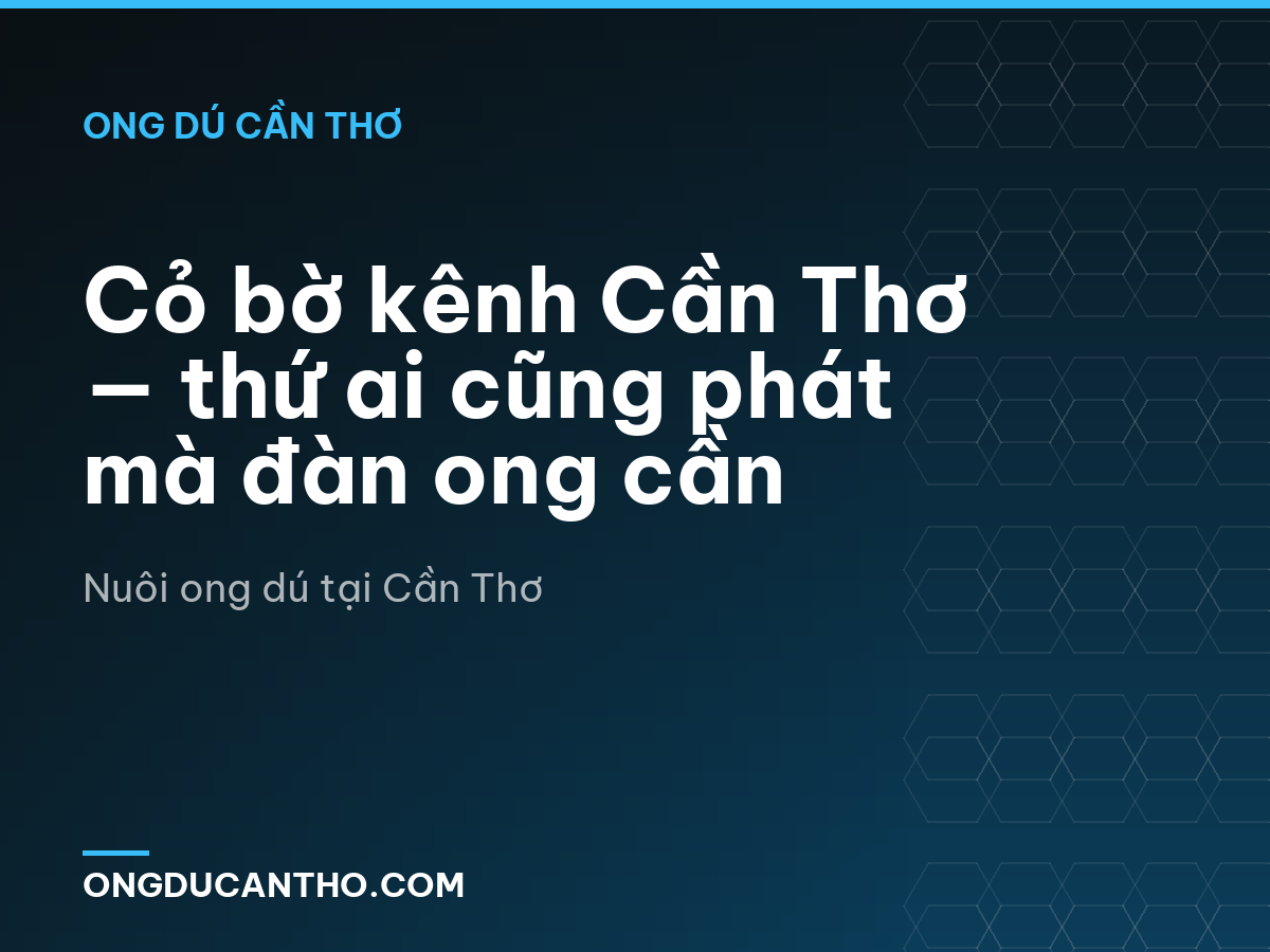 Cỏ bờ kênh Cần Thơ — thứ ai cũng phát mà đàn ong cần