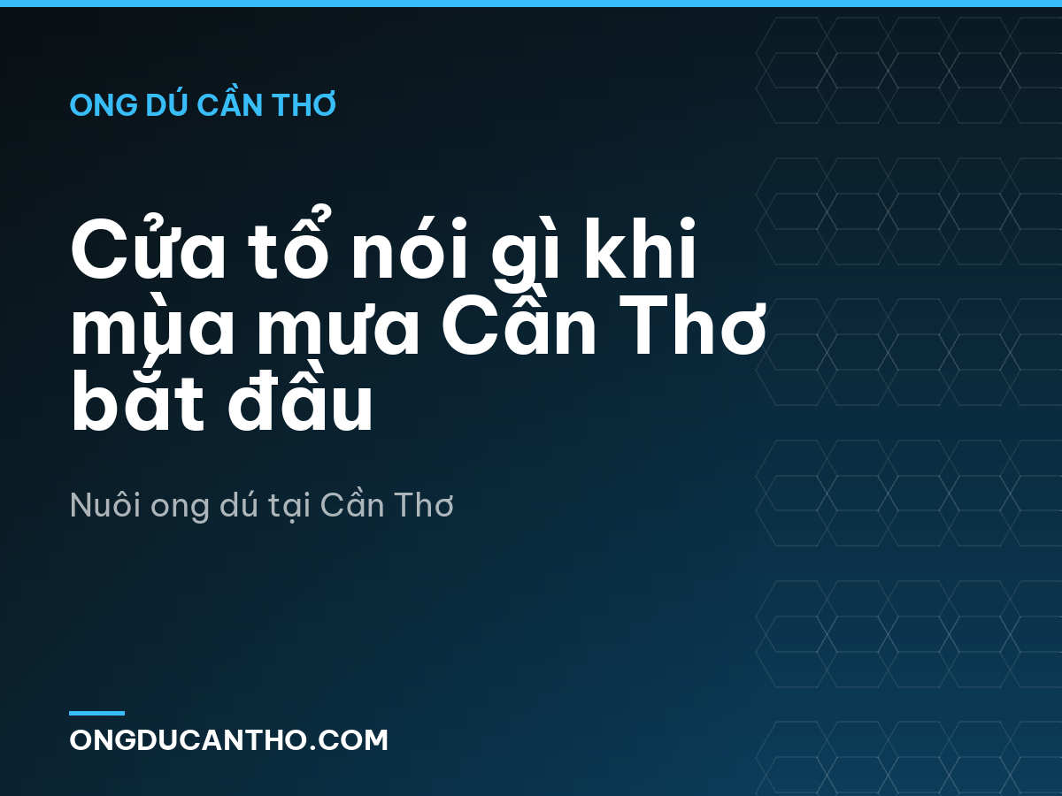 Cửa tổ nói gì khi mùa mưa Cần Thơ bắt đầu