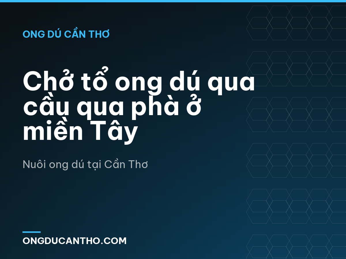 Chở tổ ong dú qua cầu qua phà ở miền Tây