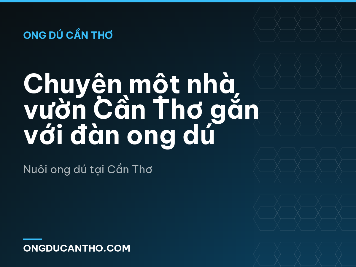 Chuyện một nhà vườn Cần Thơ gắn với đàn ong dú