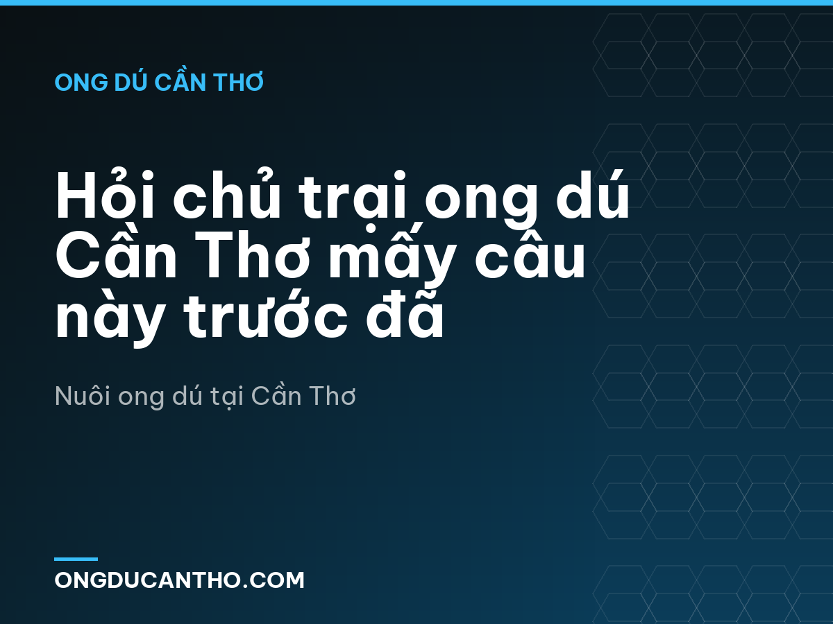 Hỏi chủ trại ong dú Cần Thơ mấy câu này trước đã