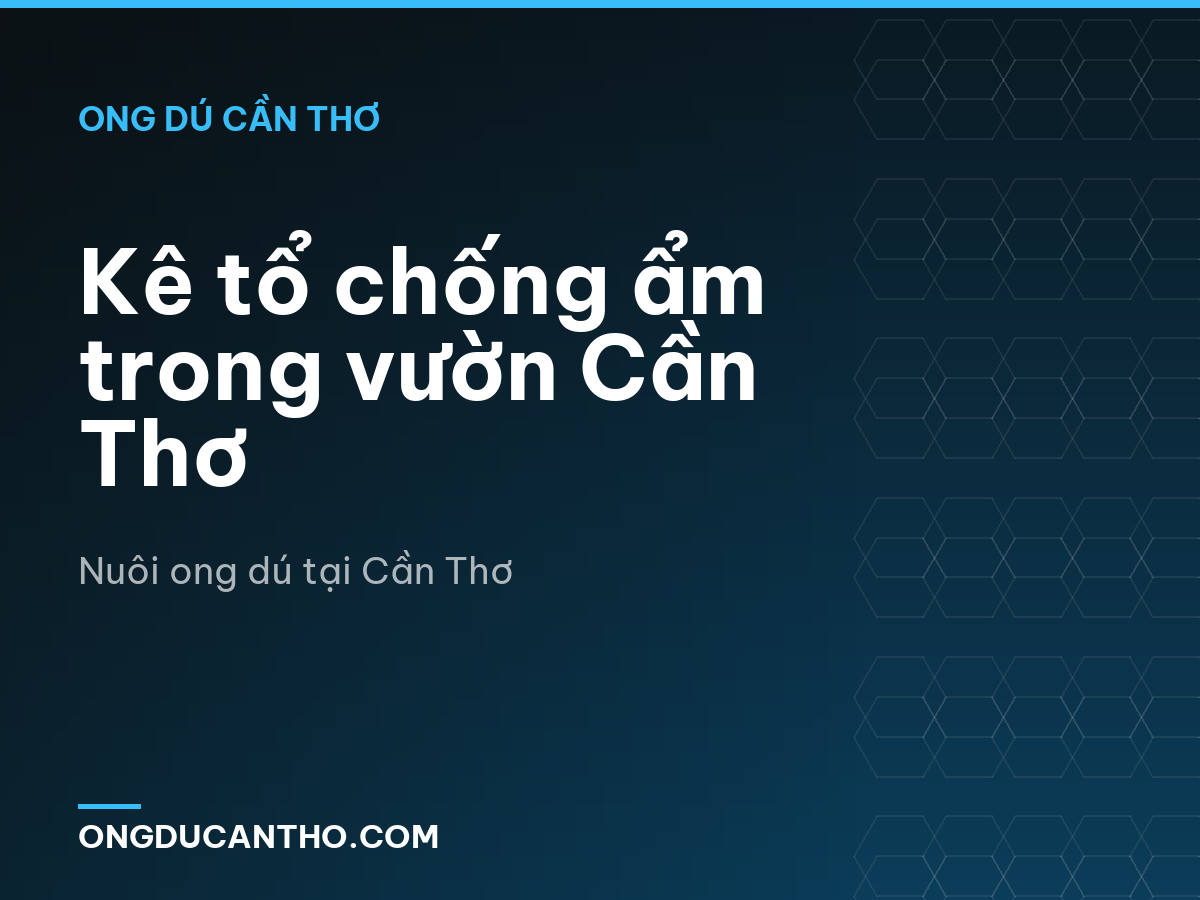 Kê tổ chống ẩm trong vườn Cần Thơ