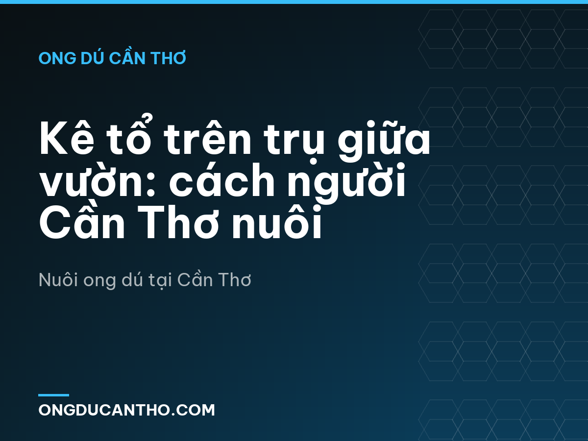 Kê tổ trên trụ giữa vườn: cách người Cần Thơ nuôi