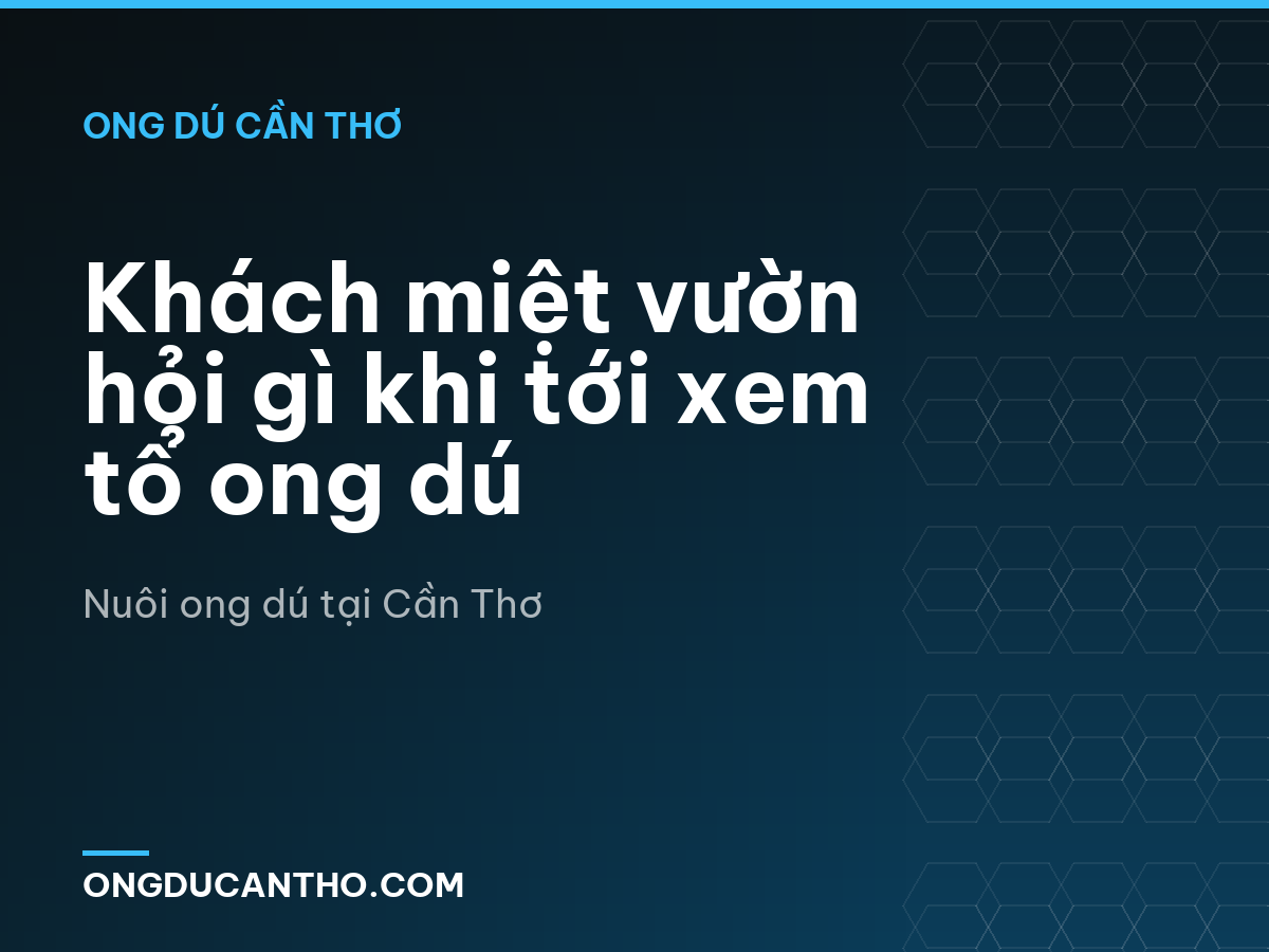 Khách miệt vườn hỏi gì khi tới xem tổ ong dú
