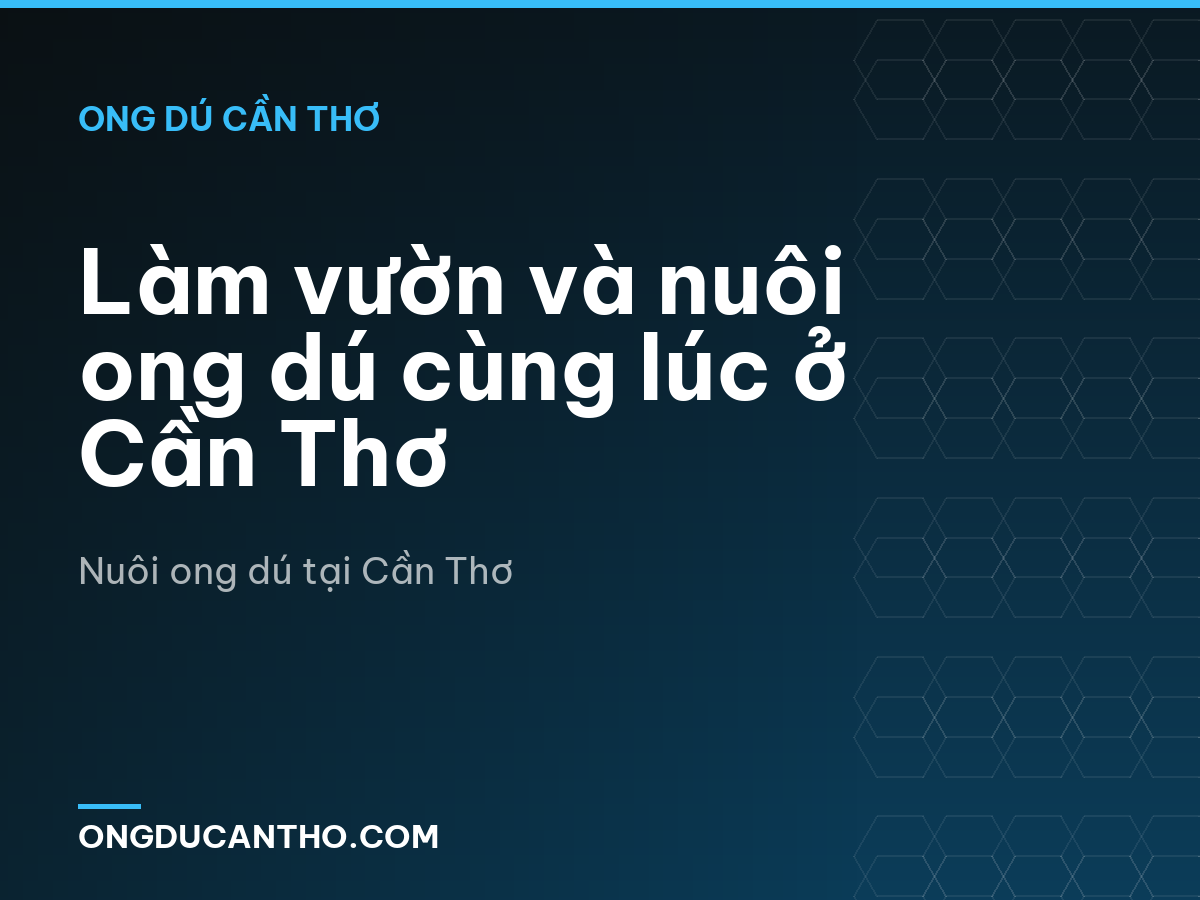 Làm vườn và nuôi ong dú cùng lúc ở Cần Thơ