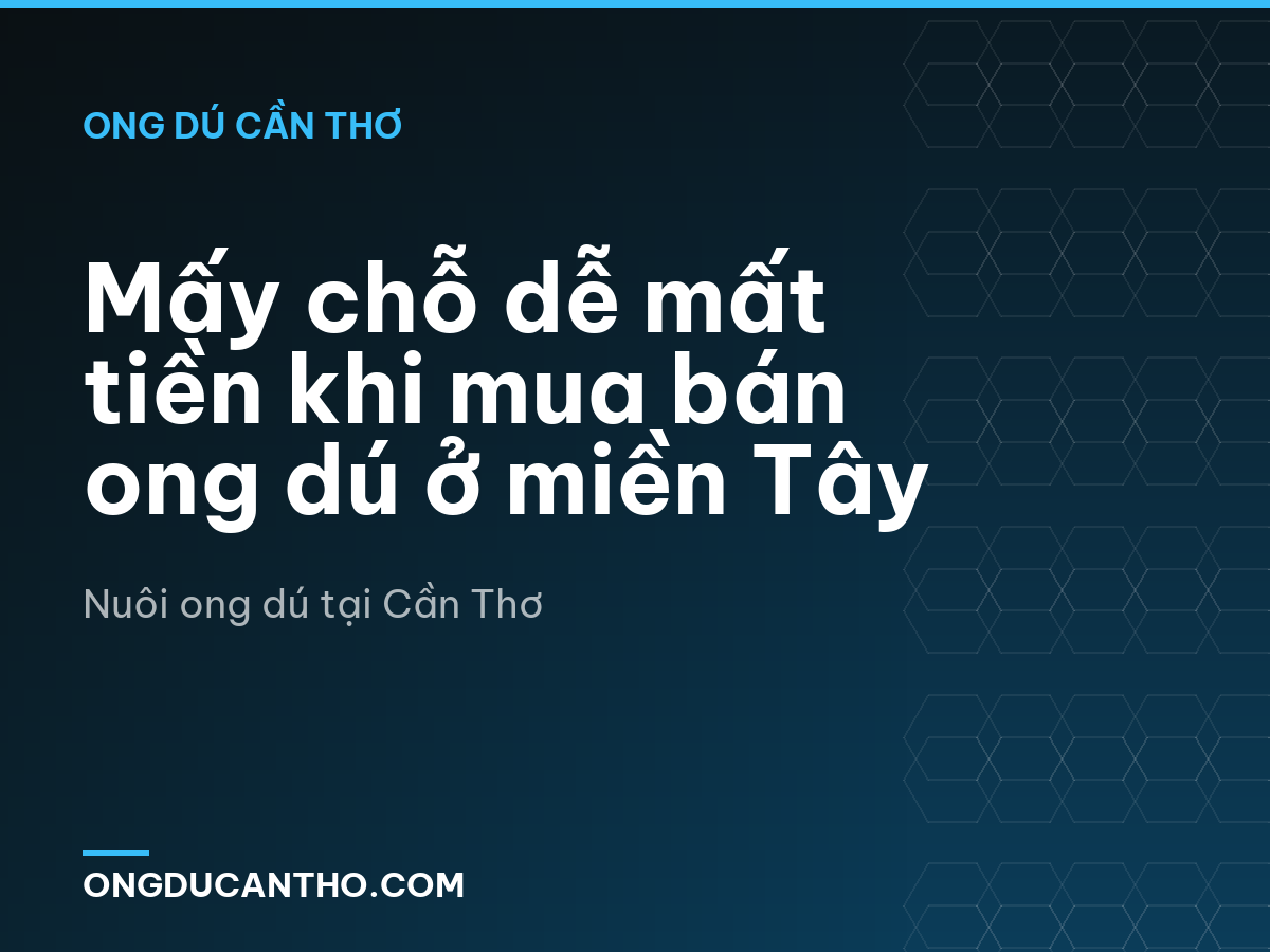 Mấy chỗ dễ mất tiền khi mua bán ong dú ở miền Tây