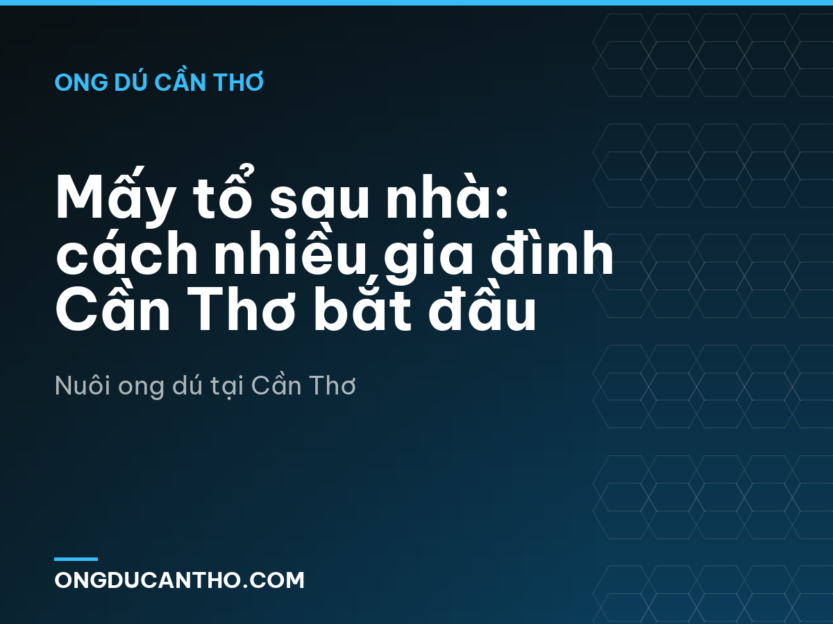 Mấy tổ sau nhà: cách nhiều gia đình Cần Thơ bắt đầu