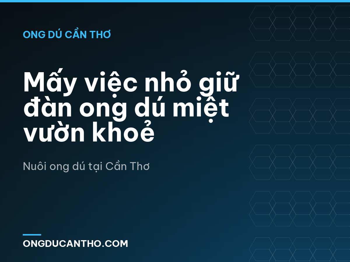 Mấy việc nhỏ giữ đàn ong dú miệt vườn khoẻ