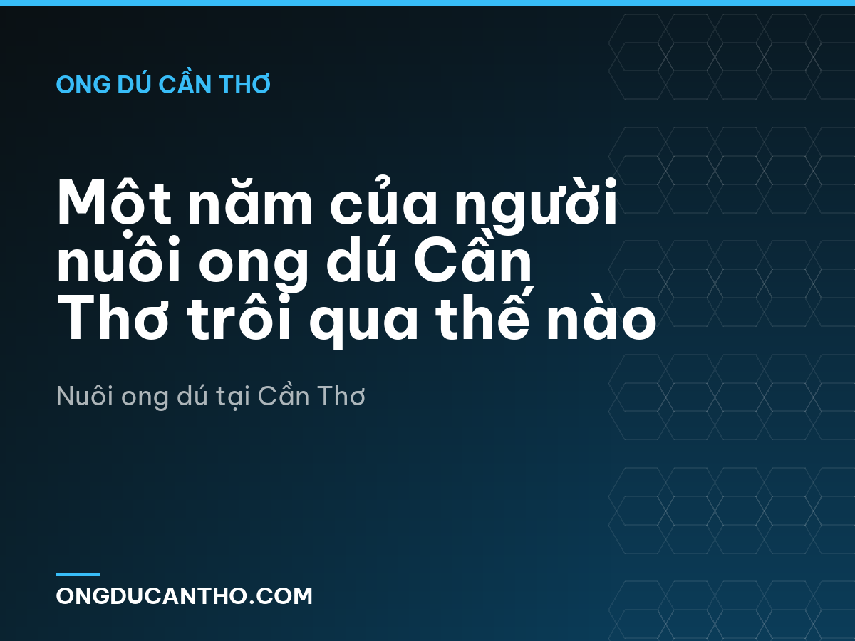 Một năm của người nuôi ong dú Cần Thơ trôi qua thế nào