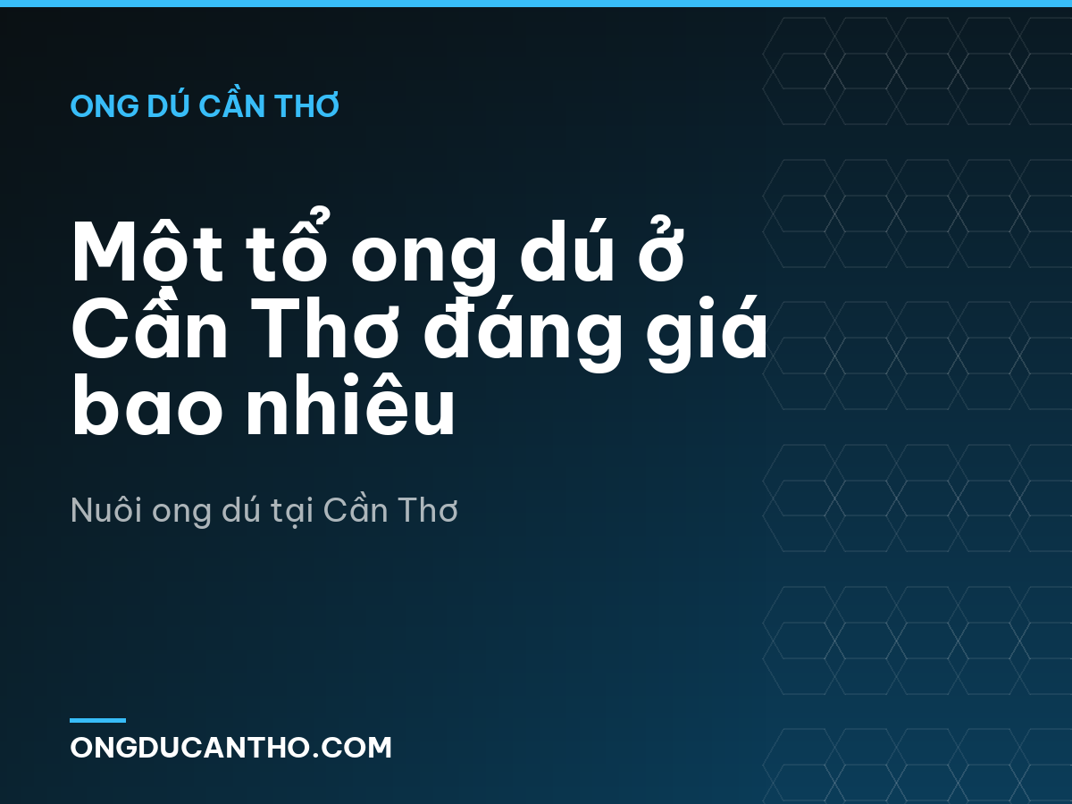 Một tổ ong dú ở Cần Thơ đáng giá bao nhiêu