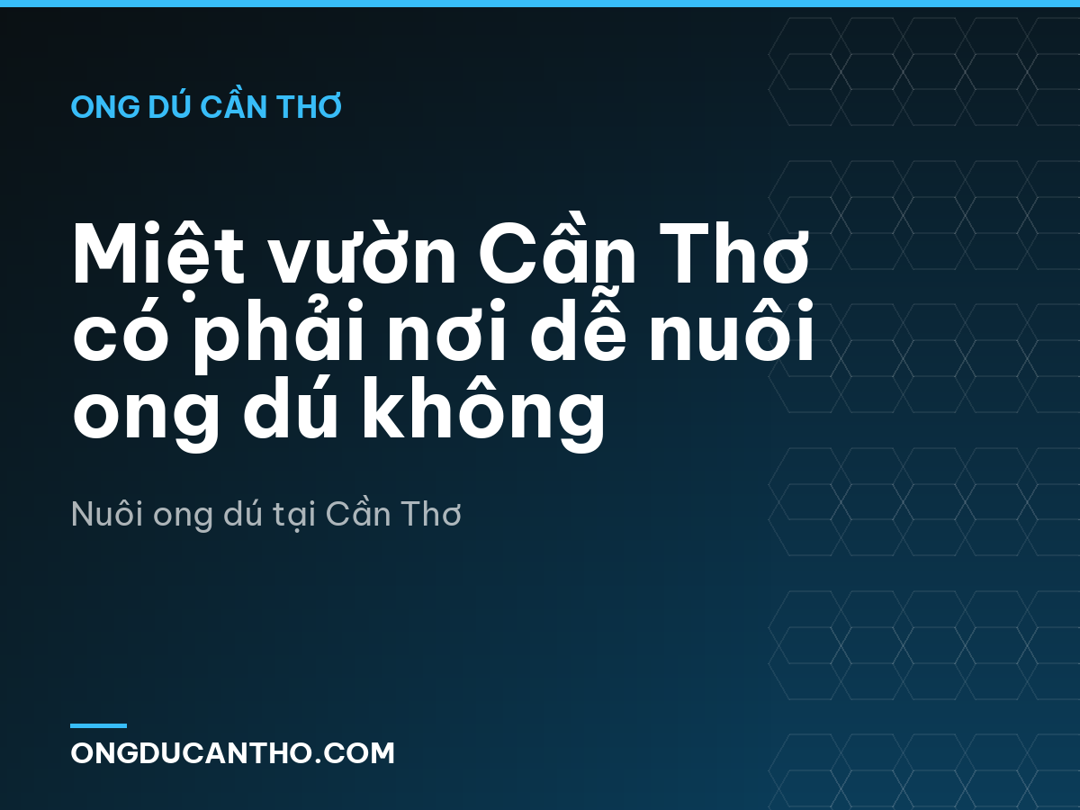Miệt vườn Cần Thơ có phải nơi dễ nuôi ong dú không