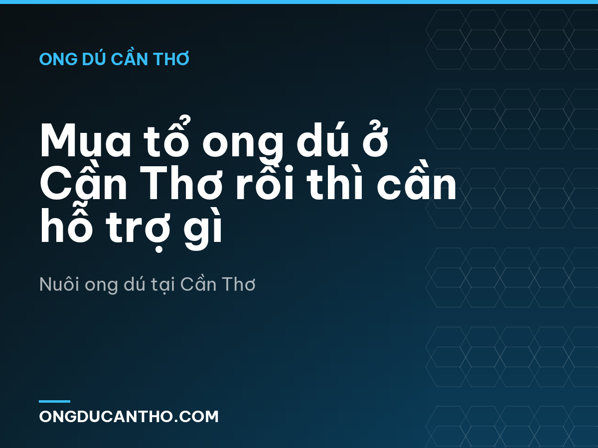 Mua tổ ong dú ở Cần Thơ rồi thì cần hỗ trợ gì