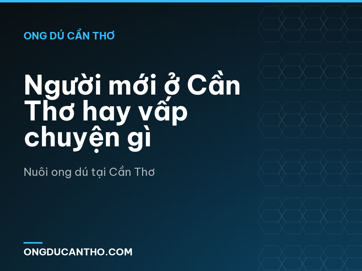 Người mới ở Cần Thơ hay vấp chuyện gì