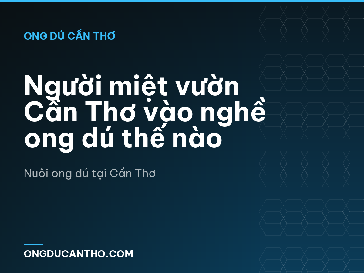 Người miệt vườn Cần Thơ vào nghề ong dú thế nào