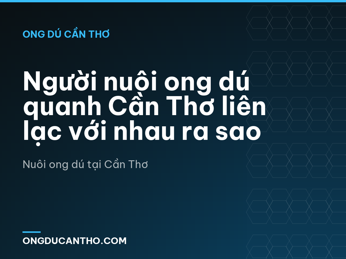 Người nuôi ong dú quanh Cần Thơ liên lạc với nhau ra sao