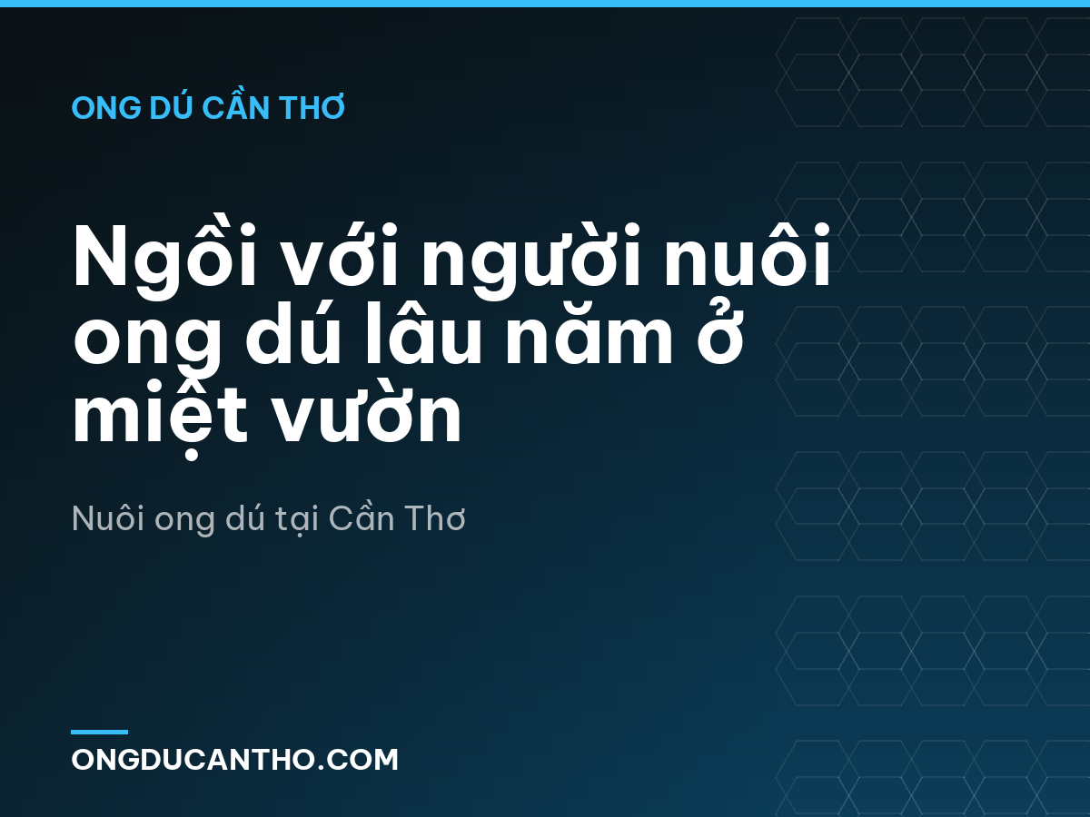Ngồi với người nuôi ong dú lâu năm ở miệt vườn