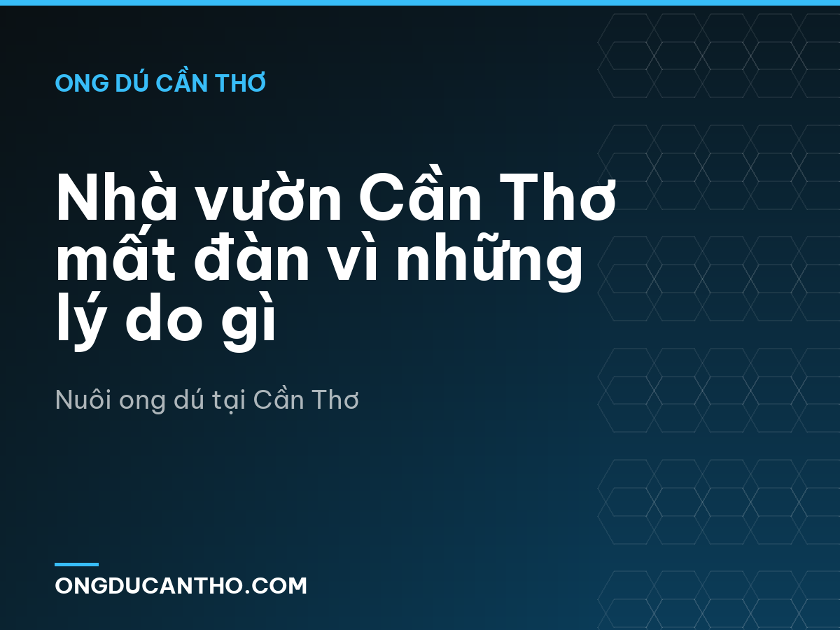 Nhà vườn Cần Thơ mất đàn vì những lý do gì