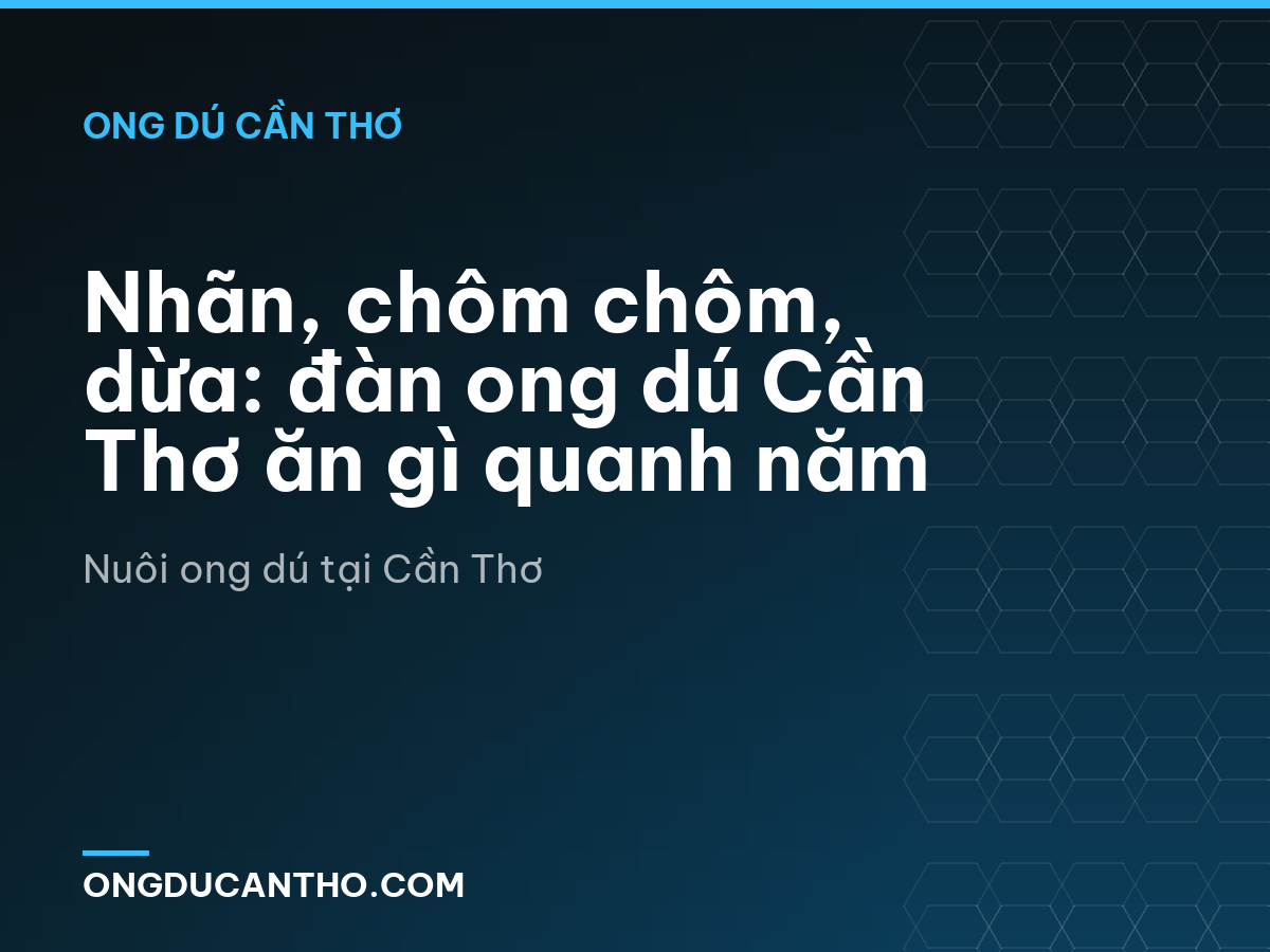 Nhãn, chôm chôm, dừa: đàn ong dú Cần Thơ ăn gì quanh năm
