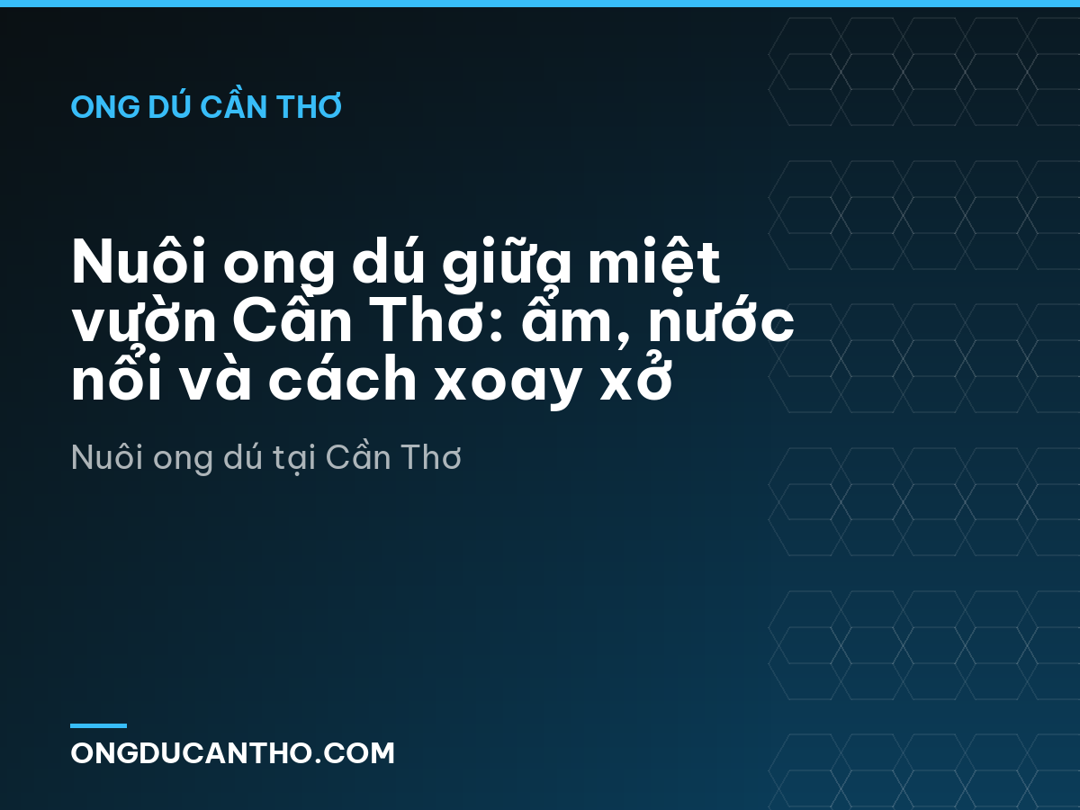 Nuôi ong dú giữa miệt vườn Cần Thơ: ẩm, nước nổi và cách xoay xở
