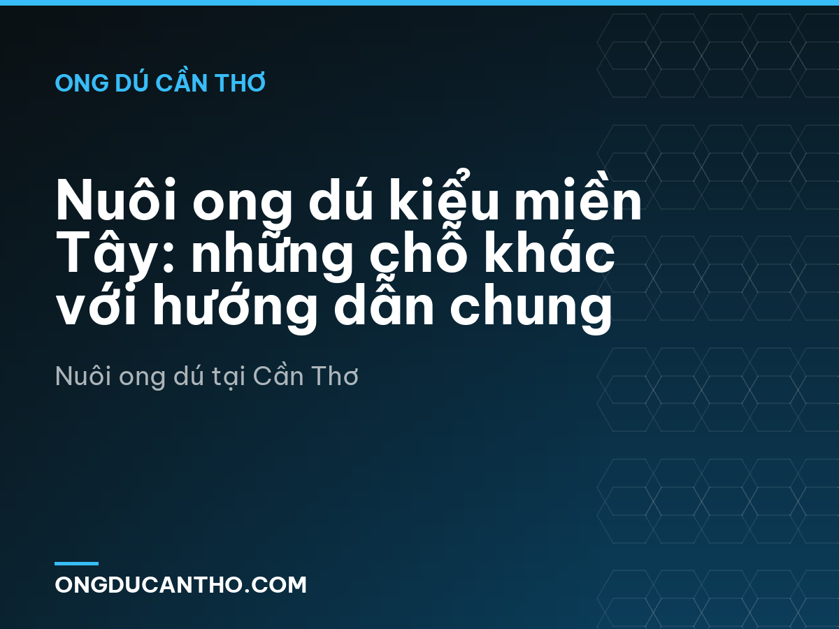 Nuôi ong dú kiểu miền Tây: những chỗ khác với hướng dẫn chung