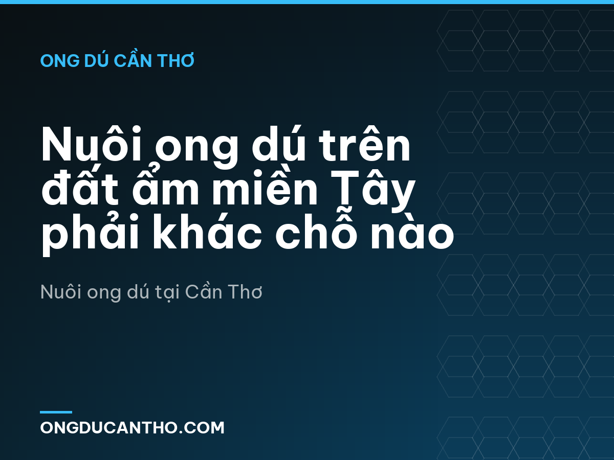 Nuôi ong dú trên đất ẩm miền Tây phải khác chỗ nào