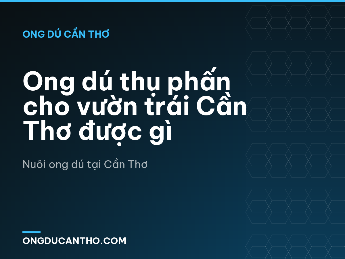 Ong dú thụ phấn cho vườn trái Cần Thơ được gì