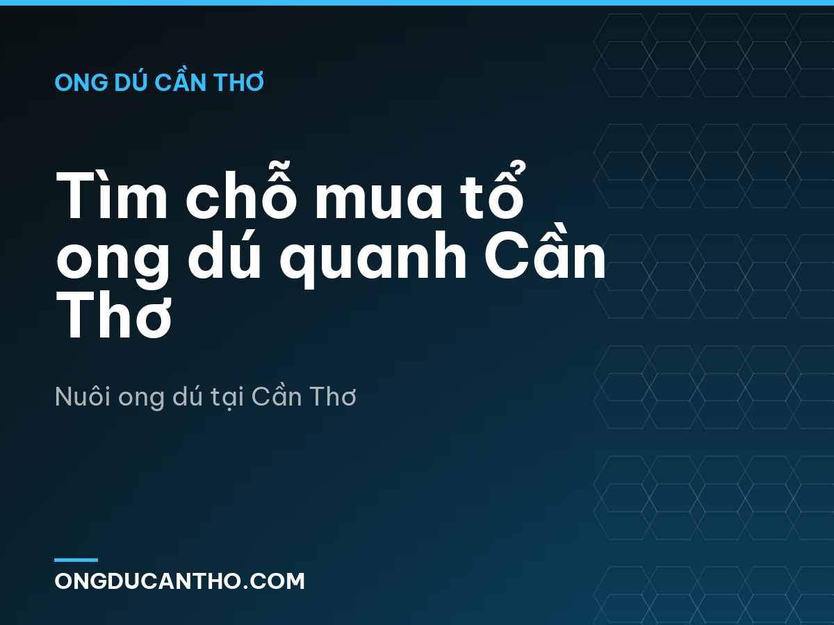 Tìm chỗ mua tổ ong dú quanh Cần Thơ