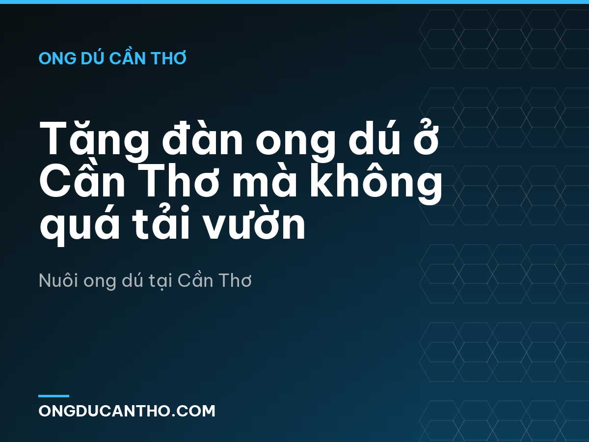 Tăng đàn ong dú ở Cần Thơ mà không quá tải vườn