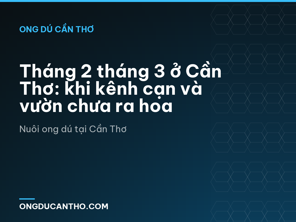 Tháng 2 tháng 3 ở Cần Thơ: khi kênh cạn và vườn chưa ra hoa