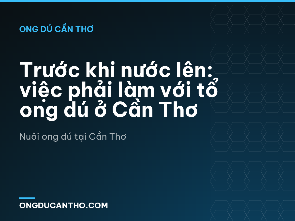 Trước khi nước lên: việc phải làm với tổ ong dú ở Cần Thơ