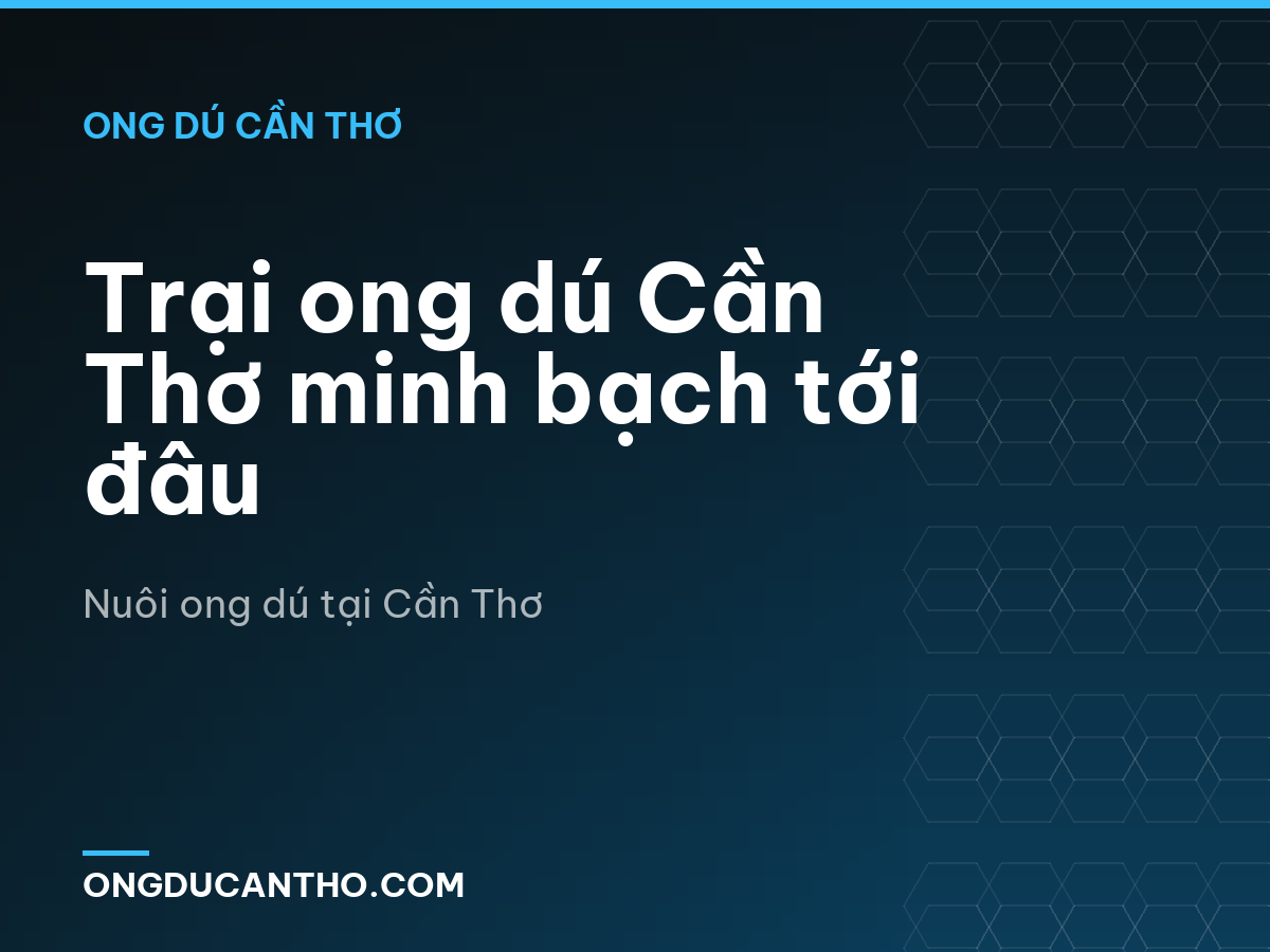 Trại ong dú Cần Thơ minh bạch tới đâu