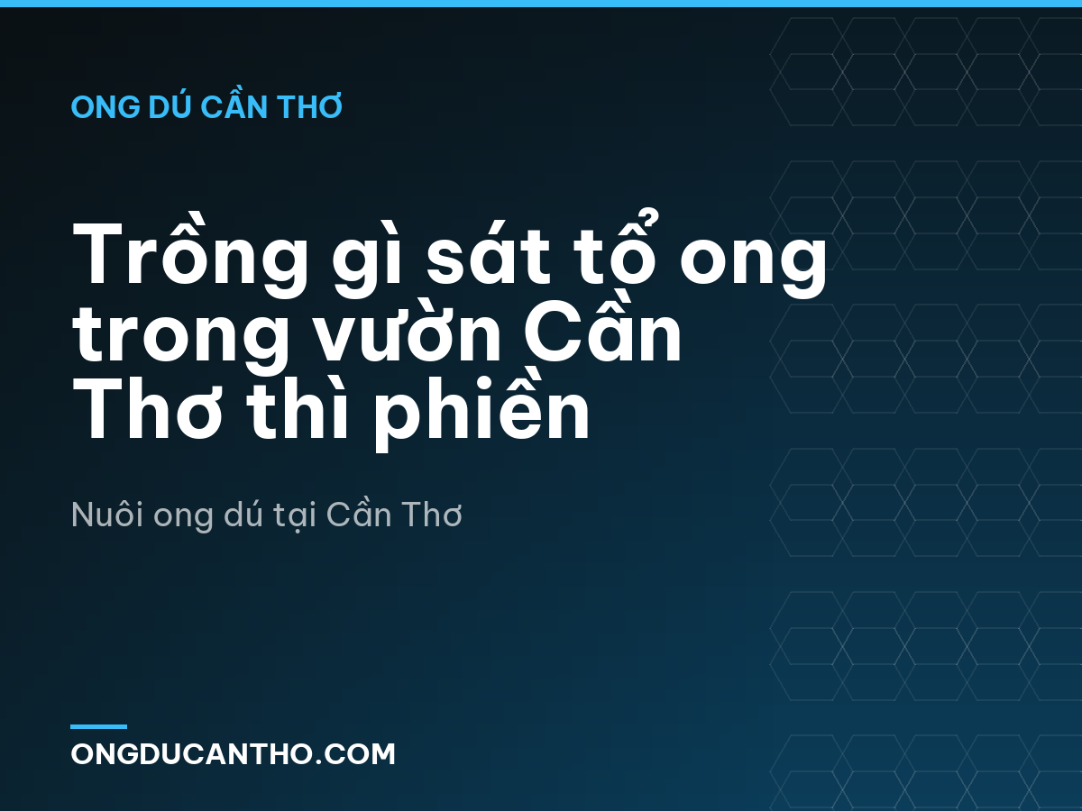 Trồng gì sát tổ ong trong vườn Cần Thơ thì phiền