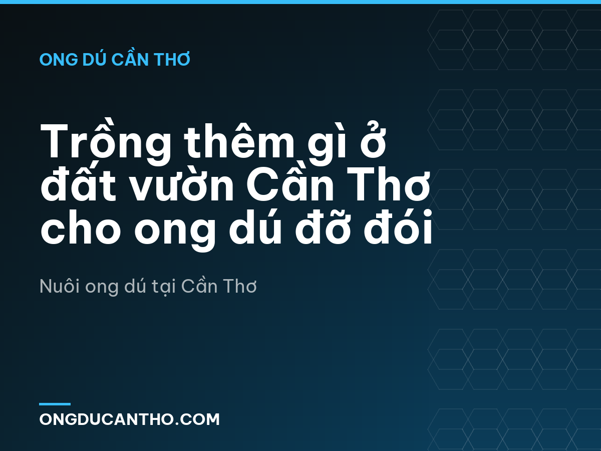 Trồng thêm gì ở đất vườn Cần Thơ cho ong dú đỡ đói