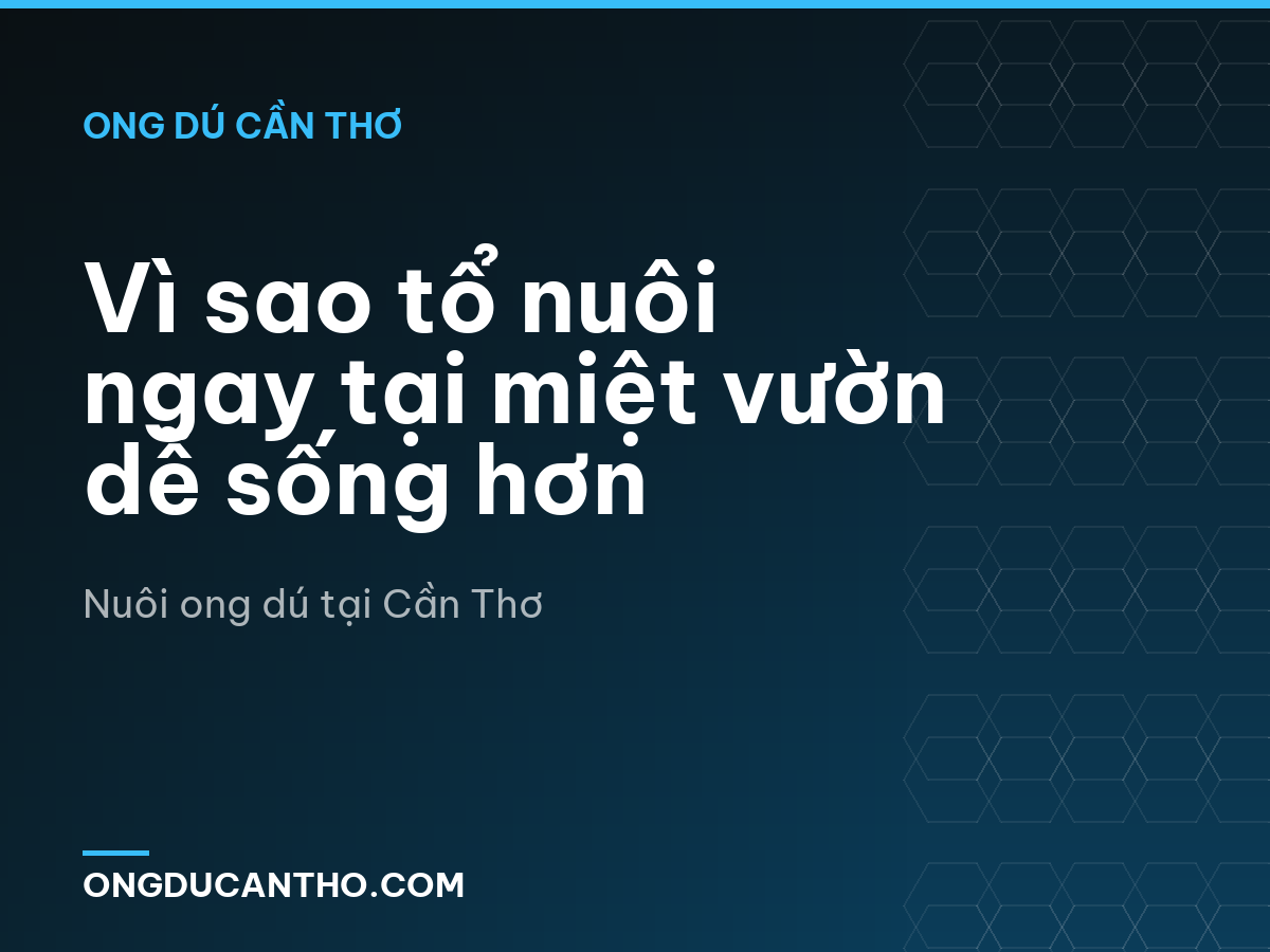 Vì sao tổ nuôi ngay tại miệt vườn dễ sống hơn