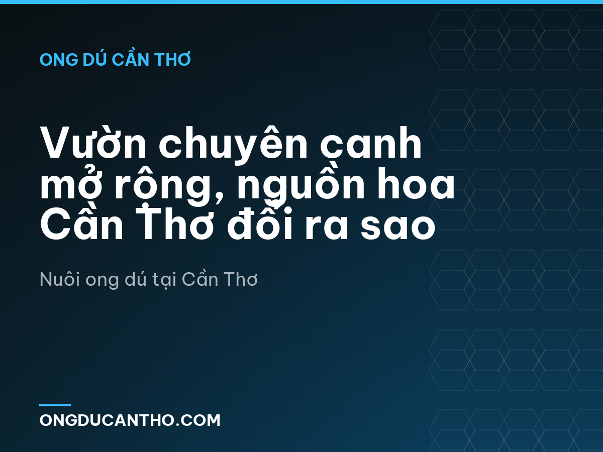 Vườn chuyên canh mở rộng, nguồn hoa Cần Thơ đổi ra sao