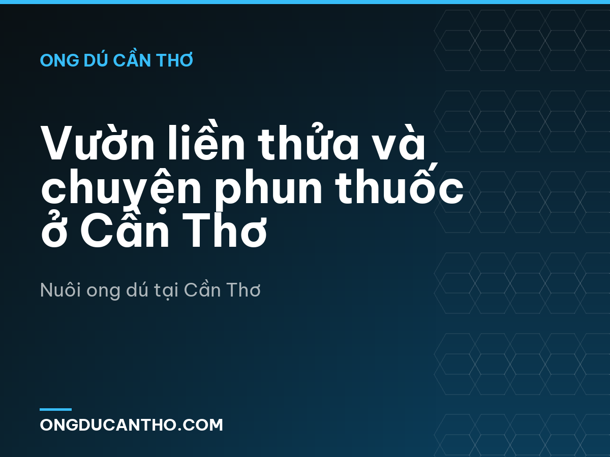 Vườn liền thửa và chuyện phun thuốc ở Cần Thơ