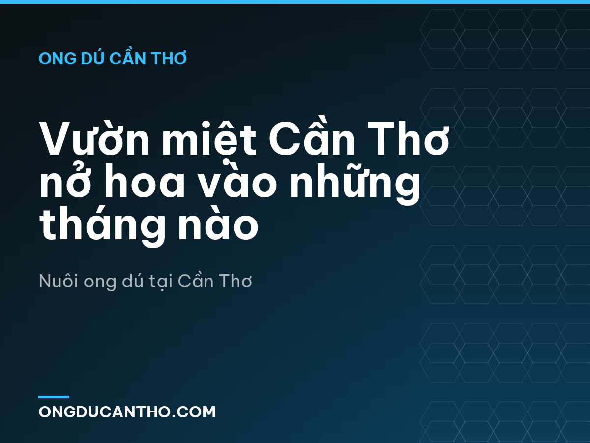 Vườn miệt Cần Thơ nở hoa vào những tháng nào